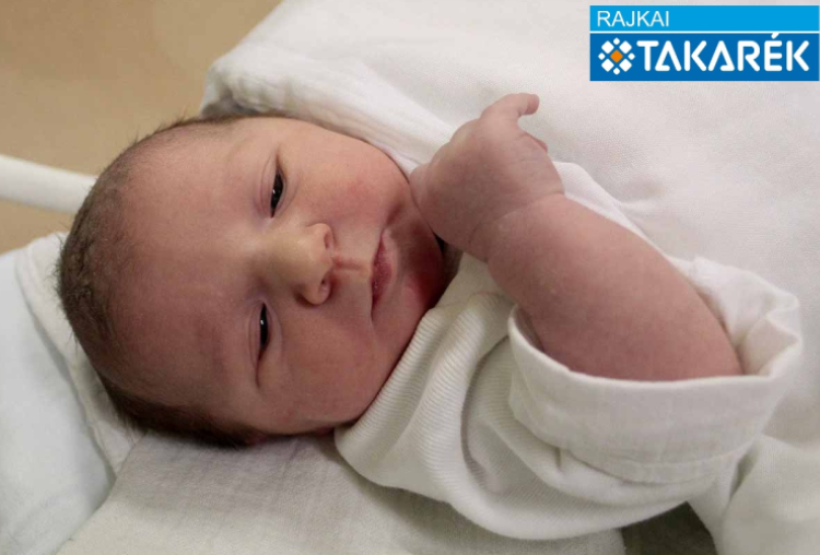 Kálmán Hanna, Babót