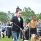 CAC kutyakiállítás (Fotó: Nagy Mária)