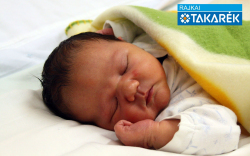 Fodor Alex Gergő, Mosonmagyaróvár