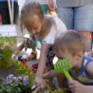 VII. Apró kezek, csodakertek Gyermek Kertépítő verseny