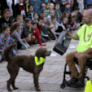 XII. Elfogadás napja Mosonmagyaróvár