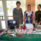 XIX. Mosonmagyaróvári Civil Nap 