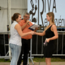 XII. Szigetköz ízei, Vármegye borai Fesztivál 3. nap