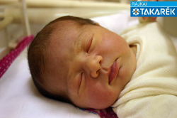 Csapó Flóra, Veszkény