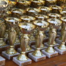 XV. Greiner Szigetköz Félmaraton