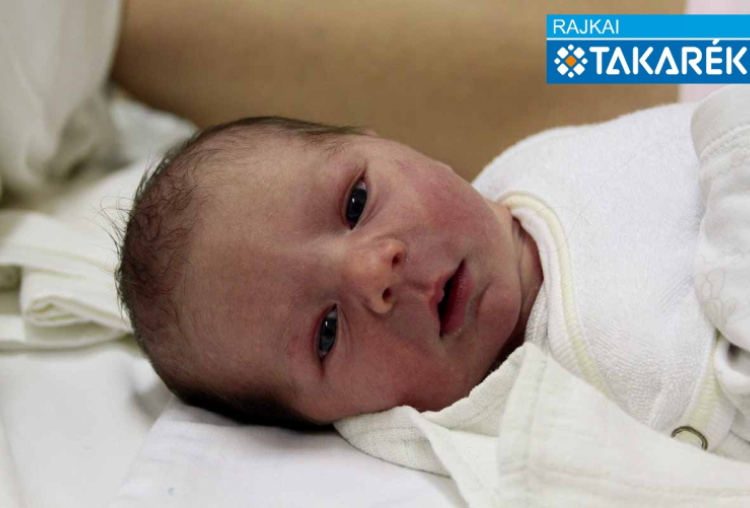 Bene Csanád, Darnózseli