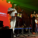 XII. Szigetköz ízei, Vármegye borai Fesztivál 2. nap