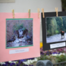 Kult-utca fesztivál (Fotó: Nagy Mária)