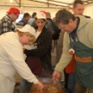 V. KOLBÁSZTÖLTŐ VERSENY ÉS FESZTIVÁL 