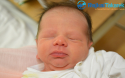 Virizlai Zsolt Pál, 3015 gr. Hegyeshalom