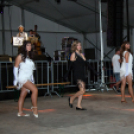 Szigetköz ízei, Vármegye borai Fesztivál - 1 nap