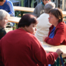 Szigetköz ízei, vármegye borai fesztivál - péntek (Fotó: Nagy Mária)