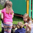 Az Ebuló Kutyaiskola interaktív kutyás bemutatója a Pillangó óvodában (Fotó: Stipkovits Veronika)