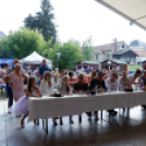 Szigetköz ízei, vármegye borai fesztivál / VÁRMEGYE SZÉPE - VÁRMEGYE HANGJA (Fotó: Horváth Attila)