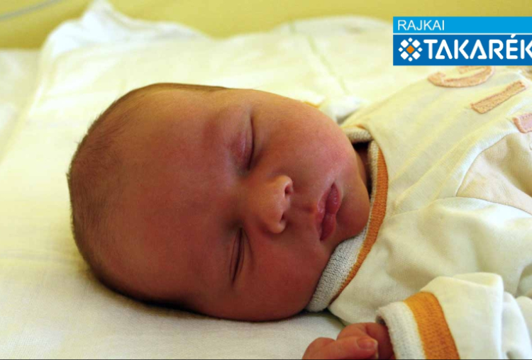 Andorka Zalán, Mosonmagyaróvár