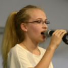 XI. Szigetköz ízei, Vármegye borai Fesztivál 3. nap