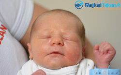 Szalai Bence, 2960 gr. Darnózseli