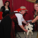 16. Maskara Bál (2)  (Fotó: Nagy Mária)