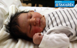 Lukács László, Mosonudvar