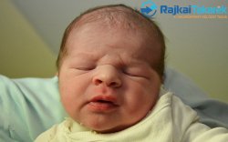 Nyul Barnabás, 3800 gr. Mosonmagyaróvár