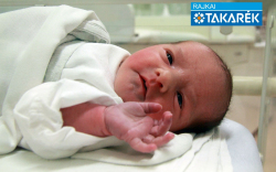 Knolmár Anna, Csorna