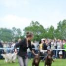 CAC kutyakiállítás (Fotó: Nagy Mária)