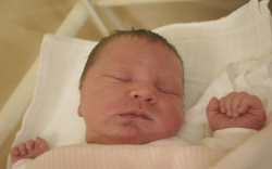 Barkóczi Zalán, Mosonmagyaróvár