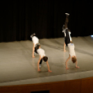 Jótékonysági műsor - Fehér és Máltai Szeretetszolgálat az Éltes iskola javára (Fotó: Horváth Attila)