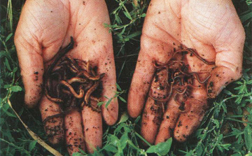 Megnyitja kapuit a Giliszta Hotel