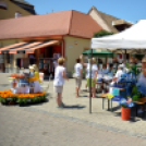Entente Florale Day Mosonmagyaróvár - Virágzó Város Mosonmagyaróvár (Fotó: Bánhegyi István)