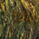 Moson Megyei Tárlat 2017 - Szigetköz Művésztelep 2017