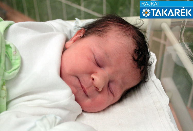 Markó Hanna Léna, Jánossomorja