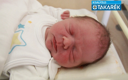 Erdős Zétény Hunor, Dunakiliti