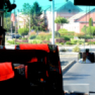 Entente Florale Day Mosonmagyaróvár - Virágzó Város Mosonmagyaróvár (Fotó: Bánhegyi István)