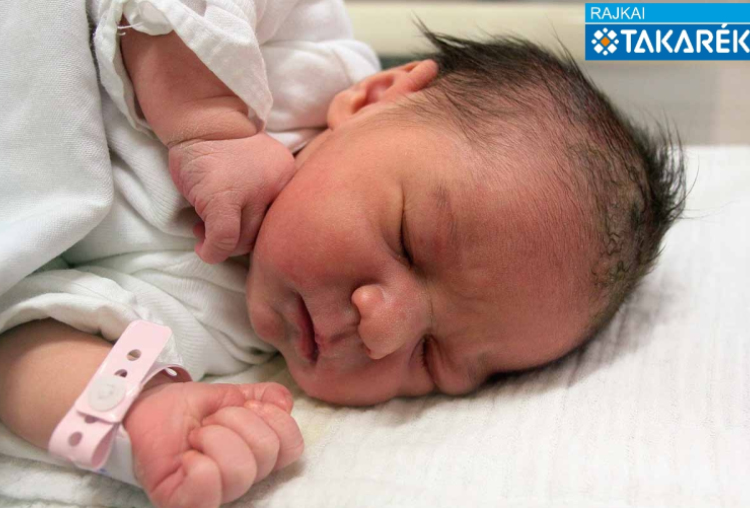 Pintér Hanna, Mosonmagyaróvár