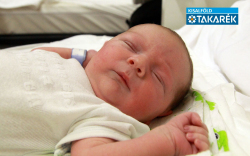 Lengyel Noel László, Feketeerdő