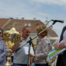 Apró kezek, csodakertek kertépítő verseny (Fotó: Horváth Attila)