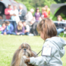 CAC kutyakiállítás (Fotó: Nagy Mária)