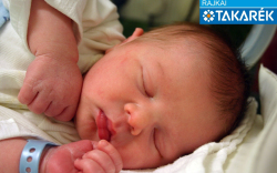 Mezei Máté, Mosonmagyaróvár