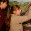 VÍZ világnapja 2015 a Futurában (Fotó: Horváth Attila)