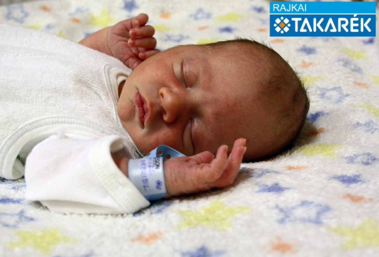 Vajdi Sámuel Gábriel, Darnózseli