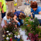 Apró Kezek, Csodakertek