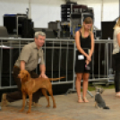 XII. Szigetköz ízei, Vármegye borai Fesztivál 3. nap