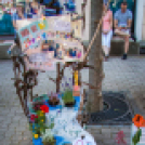 Apró kezek, Csodakertek - IX. Gyermek Kertépítő Verseny