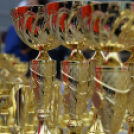 XIV. Greiner Szigetköz Félmaraton