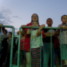 VOLUTA 2015 - Péntek (Fotó: Horváth Attila)