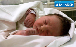 Mester Regina, Jánossomorja