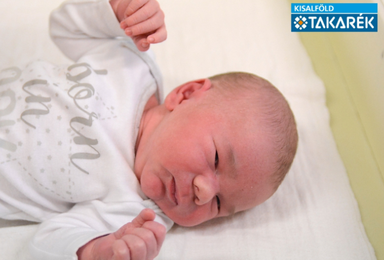 Fehér Szabolcs, Újrónafő