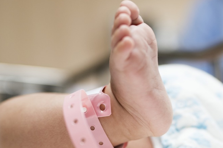 Csaknem automatikus lesz a születési és a jogosítványszerzési ügyintézés