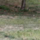 XI. Szigetköz ízei, Vármegye borai Fesztivál 3. nap 